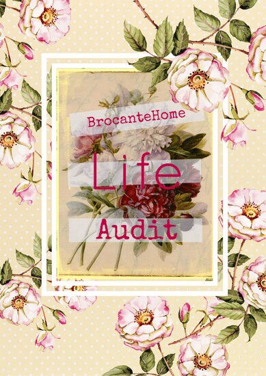 The Life Audit